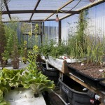 Greenhouse with aquaponics system